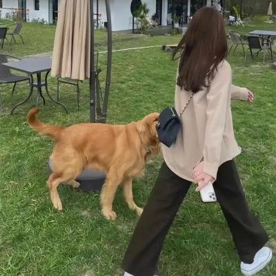 重生之慕甄