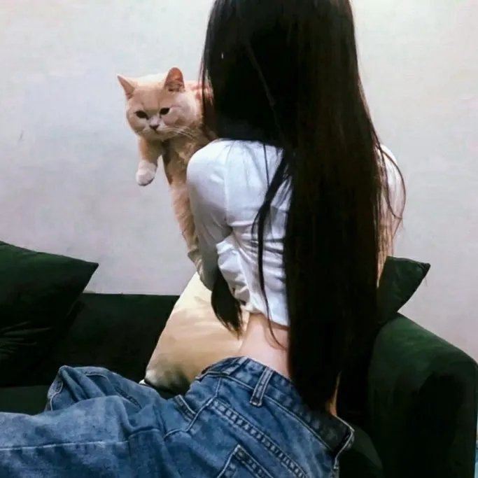 黑道风云之收数王